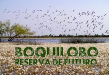 Esta terça-feira estreia a curta metragem “Boquilobo. Reserva de Futuro”