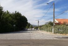 Torres Novas | Adjudicada a requalificação da Avenida José Loureiro da Rosa e troço entre a povoação de Zibreira e a Fábrica da Renova1