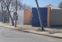 Entroncamento | Dois novos casos de Covid-19 e mais 3 casos em vigilância ativa