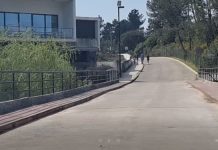 Entroncamento | Um novo caso de Covid-19 e menos 3 casos em vigilância ativa