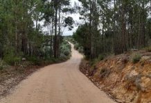 Torres Novas | Adjudicada a pavimentação da estrada entre Fungalvaz e o Concelho de Ourém (Alburitel)