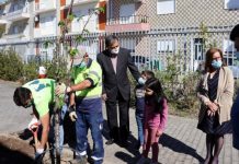 Entroncamento | Município assinala Dia Mundial da Árvore e da Floresta