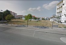 Entroncamento | Câmara aprova projeto de jardim público na rua Dr Francisco Sá Carneiro