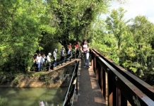 Tomar inaugura Eco-Trilho da Vala