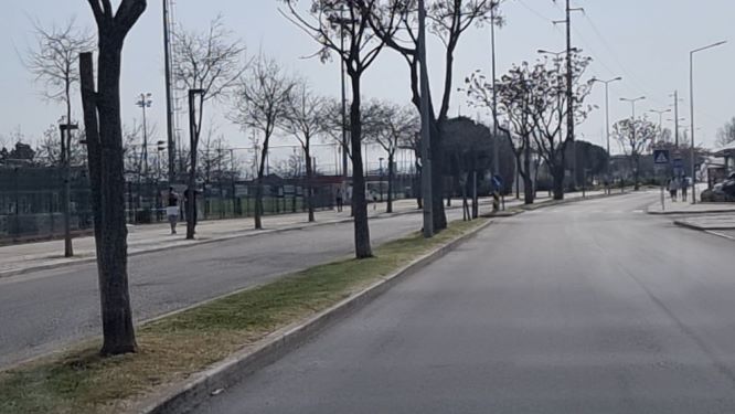 EntroncamentoCovid735