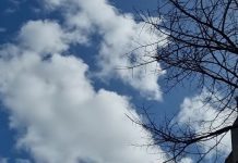 Entroncamento | Terceiro dia sem novos casos de Covid-19 e mantêm-se 8 casos em vigilância ativa