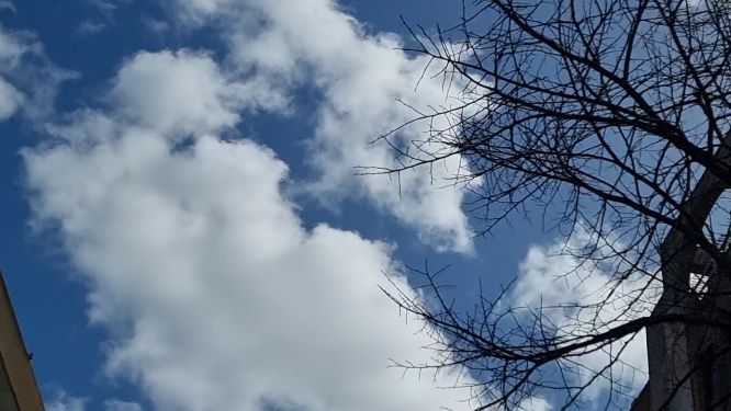 EntroncamentoCovid756