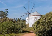 Torres Novas | Recuperação de moinho de vento nos Moinhos da Pena