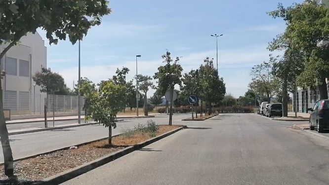 EntroncamentoCovid286