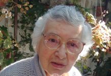 JANELA SOBRE A CIDADE | Maria Asseiceiro