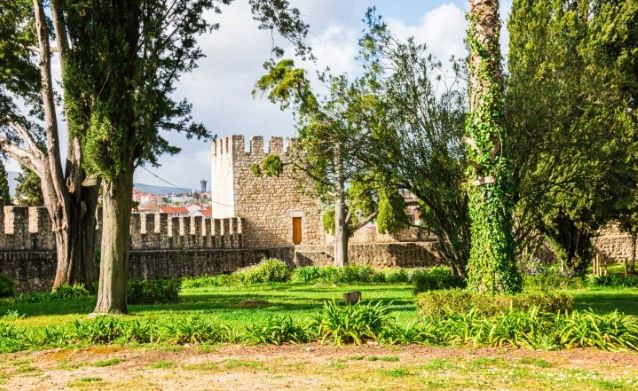 IMG_2780 (Small) (2)