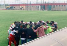 Já não são só vermelho e preto. São uma paleta de várias cores