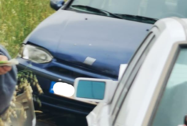 193479496_312809410474807_6809560711412837982_n (2)