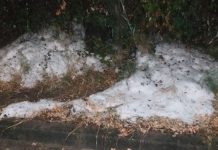 Entroncamento | Chuva intensa e granizo num curto espaço de tempo