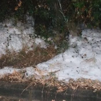 200227974_390184825704778_1449458111686577053_n