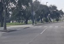 Entroncamento | Sem novos casos de Covid-19 e menos 4 casos em vigilância ativa