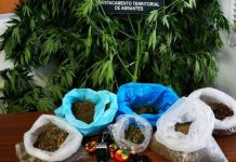 Abrantes | GNR detém homem de 50 anos por tráfico de estupefacientes