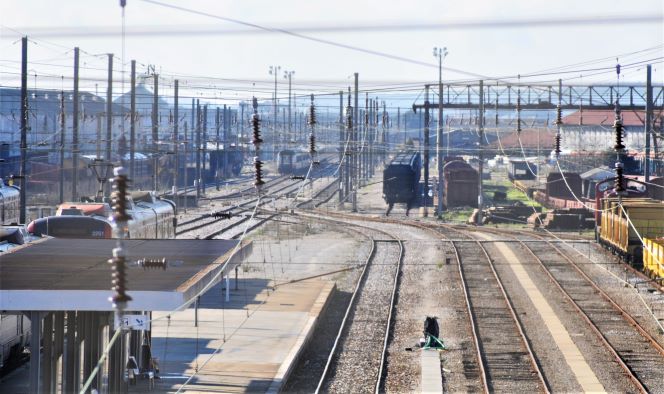 20090104 024638 DSC_6767 (3)