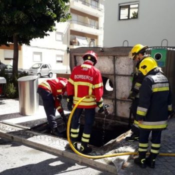 206637955_810893249596668_1459443265982903020_n (2)