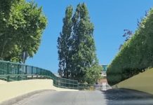 Entroncamento | Dois novos casos de Covid-19 e menos 4 casos em vigilância ativa