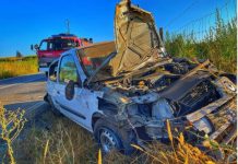 Estrada Nacional 365 | Despiste de viatura provoca ferido ligeiro