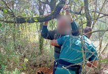 Fátima | GNR localiza homem de 57 anos dado como desaparecido