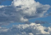 Entroncamento | Oito novos casos de Covid-19 e mais 15 casos em vigilância ativa