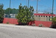 Entroncamento | Sem novos casos de Covid-19 mas mais 31 casos em vigilância ativa