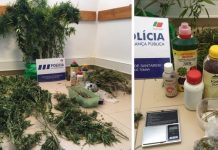 Tomar | PSP detém homem de 39 anos por tráfico de estupefacientes