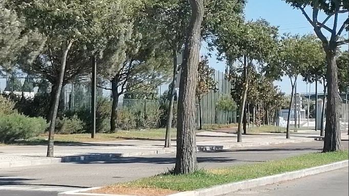 EntroncamentoCovid275