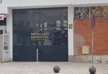 Entroncamento | Quinze novos casos de Covid-19 e menos 8 casos em vigilância ativa