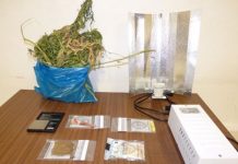 Ourém | Homem de 25 anos detido por tráfico de estupefacientes