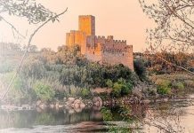 Concelho de VN Barquinha comemora 185.º aniversário dia 6 de novembro