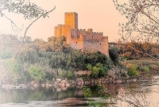 aniversario do concelho 2021_banner (2)