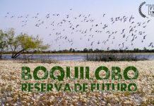 “Boquilobo. Reserva de Futuro” no Festival Internacional de Imagem de Natureza (FIIN)