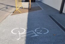 Entroncamento | Ciclovia com árvores pelo meio