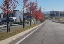 Entroncamento | Catorze novos casos de Covid-19 e menos 35 casos em vigilância ativa