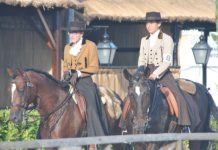 Golegã | Ministra da Agricultura inaugura Feira Nacional do Cavalo