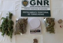 Torres Novas | Homem de 22 anos detido em flagrante por tráfico de estupefacientes