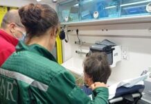 Fátima | GNR localiza homem desaparecido