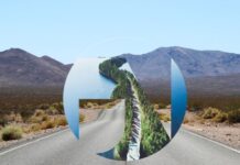 Instituto Politécnico de Tomar tem 65 vagas disponíveis em 13 cursos para bolsas da Fundação José Neves que pagam mestrados e cursos técnicos superiores profissionais