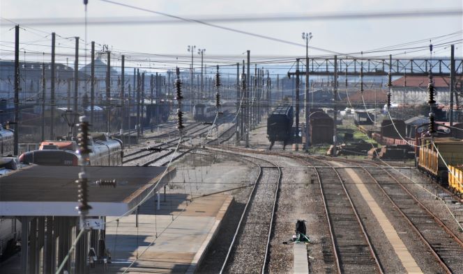 20090104 024638 DSC_6767 (3)