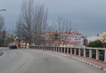 Entroncamento | Vinte e quatro novos casos de Covid-19 e mais 5 casos em vigilância ativa