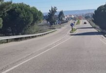 Entroncamento | Quinze novos casos de Covid-19 e mais 3 casos em vigilância ativa