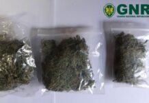 Ferreira do Zêzere | Homem de 51 anos detido por tráfico de estupefacientes