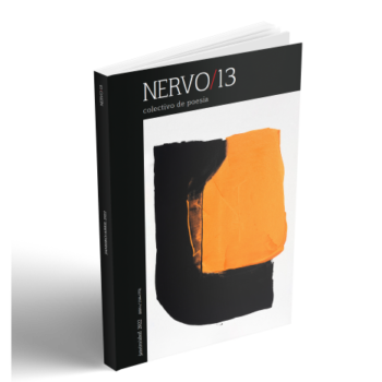 Nervo13