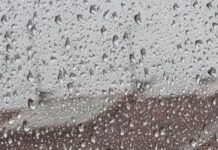 Entroncamento | Vinte e seis novos casos de Covid-19 e menos 1 caso em vigilância ativa