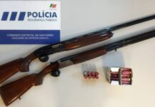 Entroncamento | PSP detém homem de 47 anos no cumprimento de mandado de busca