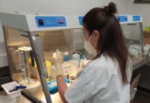 Covid-19 | Variante Ómicron é responsável por 98% dos casos no Médio Tejo