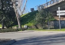 Entroncamento | Cento e dezasseis novos casos de Covid-19